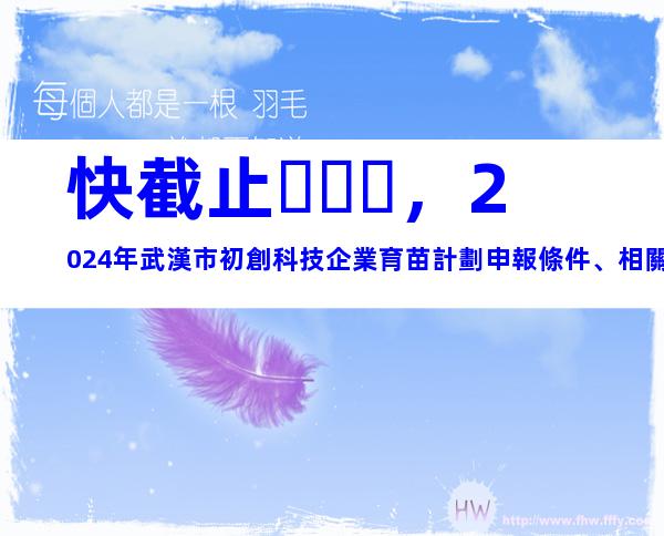 快截止，2024年武漢市初創科技企業育苗計劃申報條件、相關內容
